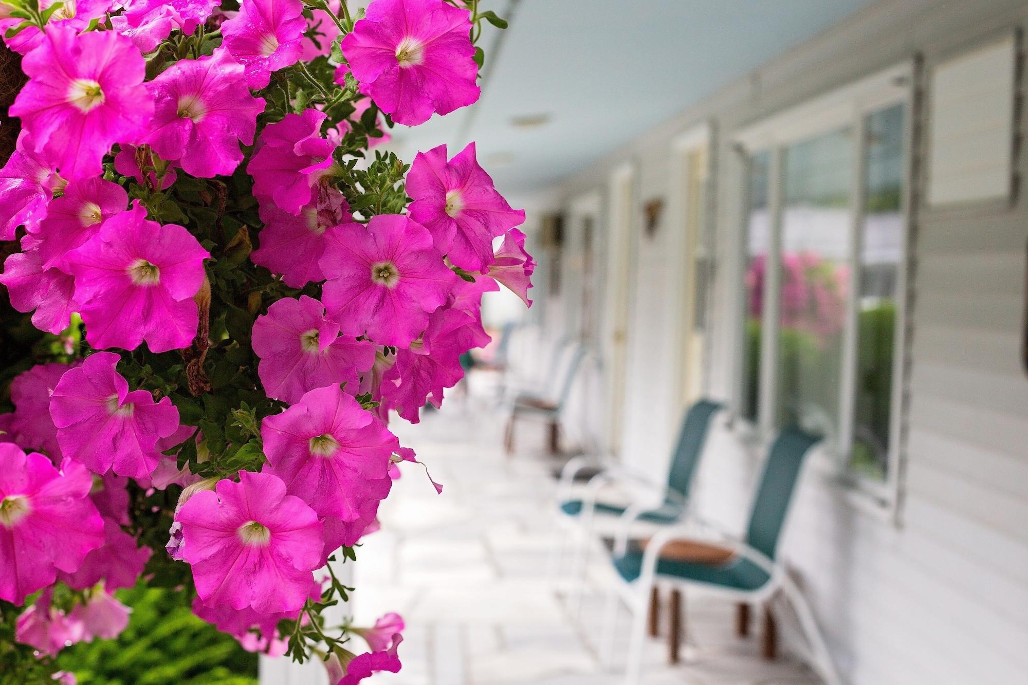 The Palmer House Resort, Ascend Hotel Collection Manchester Ngoại thất bức ảnh